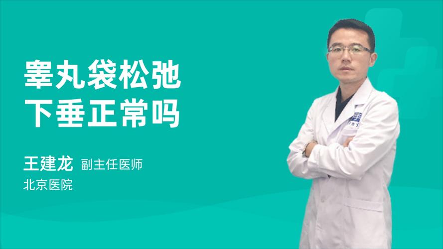 睾丸袋松弛下垂正常吗