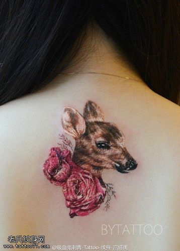 背部小鹿玫瑰纹身图案