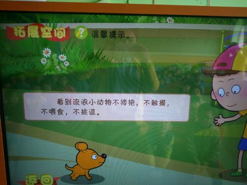 《怎样对待流浪的小动物》--大一班安全教育--杨家台幼儿园