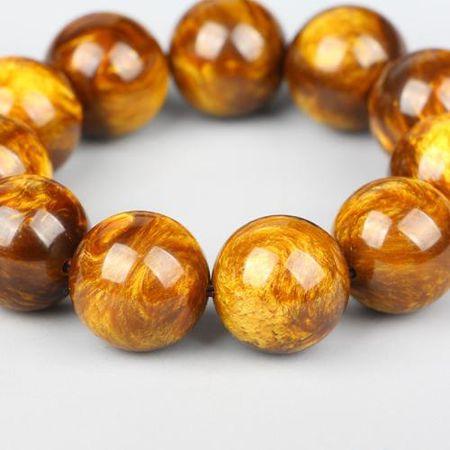 大神们给看看这个金丝海柳,怎么样,朋友送的