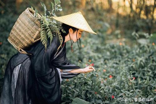 英姿飒爽的禁欲系女道士竹林里冷淡清幽古装
