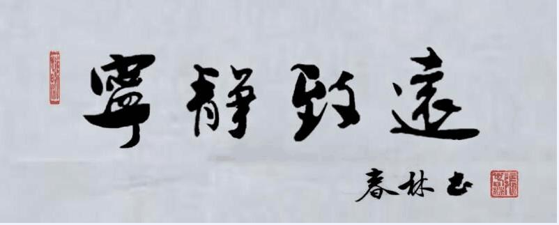张春林老师 书法作品欣赏