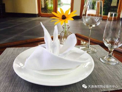 2 帆船 这款口布象征着自由以及迎风启航,无所畏惧.