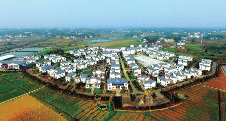 高坪区走马乡金凤山村,产业围绕新村建.记者 陆待君 摄