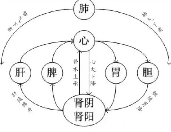 中医治病的精髓:气机升降与五行