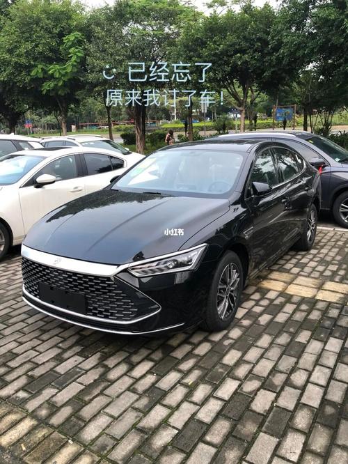 珠江新城攻略_比亚迪_销售_比亚迪秦plusdmi_汽车_汽车介绍