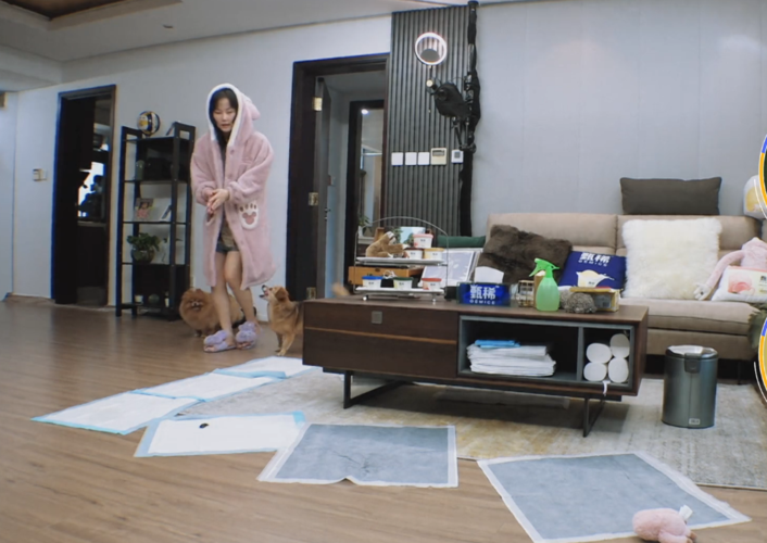 女明星的家被节目曝光张柏芝上海新家清新淡雅黄龄家摆满玩偶
