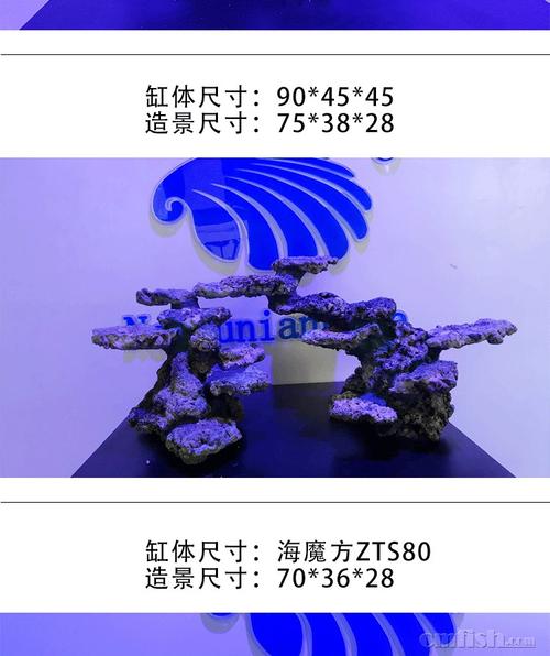 你有千百种姿态我有千百种喜欢海魔方专业活石造景
