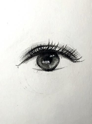 怎么画好素描眼镜_素描_眼镜_文化_绘画