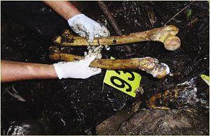 秘鲁黑帮杀人炼油制成化妆品组图