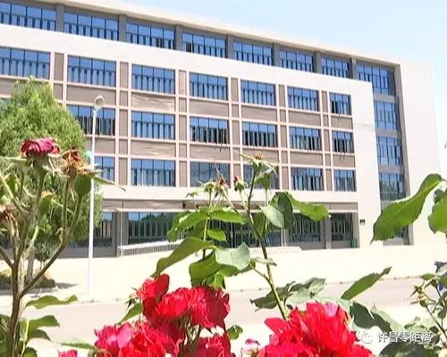 零距离资讯高招进行时走进许昌学院医学院