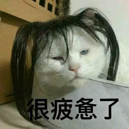 合集| 可爱到爆的表情包