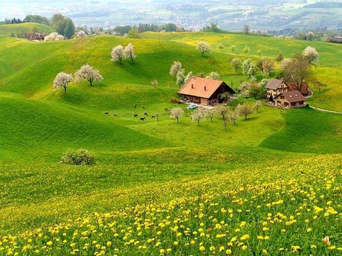 (人音版)五年级音乐下册ppt课件 致春天.ppt