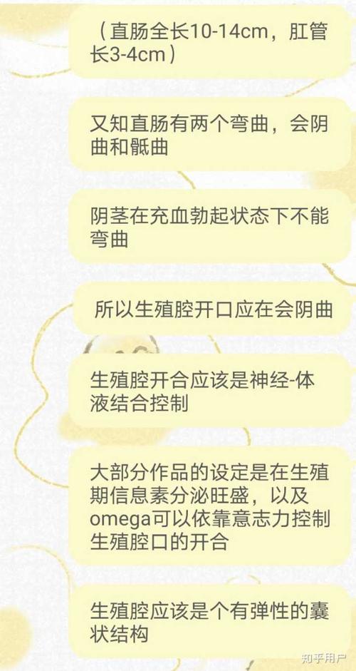 abo文里面omega的生殖腔大概在哪里.