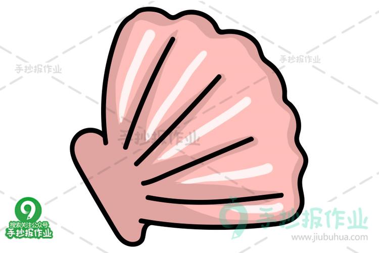 贝壳简笔画