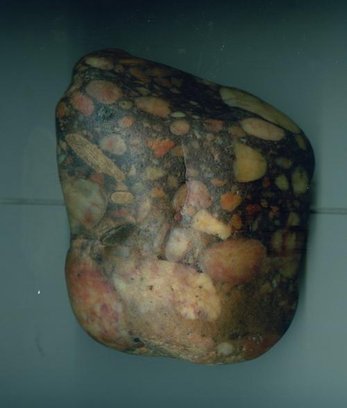 长江石中石 店铺交易 奇石化石 待售 2008/10/23; 长江类玉石; 石友藏