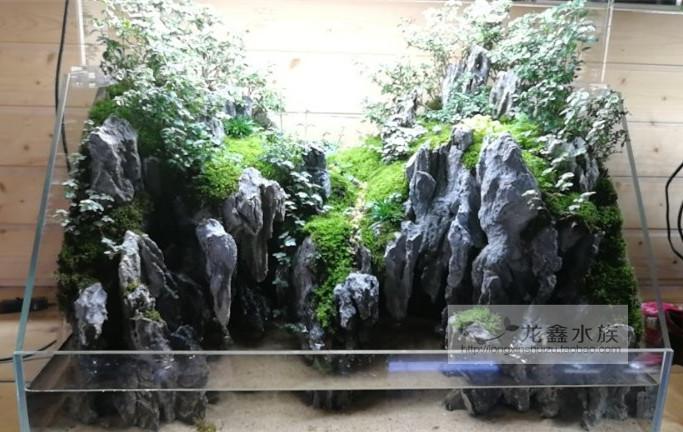 精品青龙石鱼缸草缸造景石酸洗青龙石千层石假山石ada造景石天然