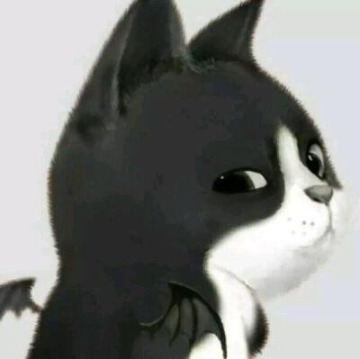 抱黑猫头像