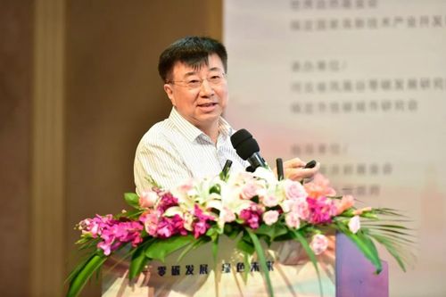 中国智慧能源产业技术创新战略联盟理事长王忠敏就零碳经济,智慧