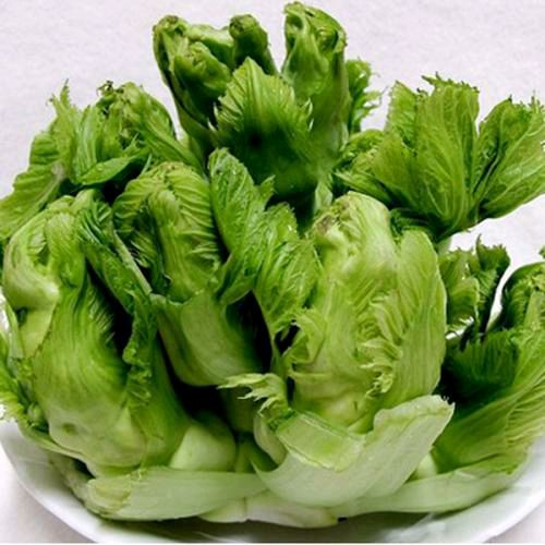 清炒儿菜的做法图解1