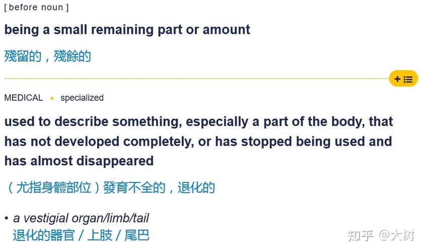 马斯克说的vestigial是什么意思?