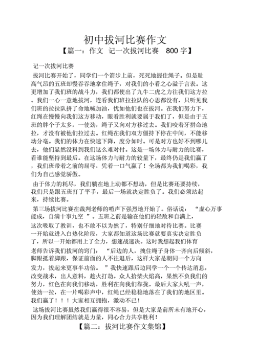 初三作文之初中拔河比赛作文.docx 9页