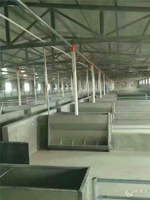 【供应】自动化养猪送料全国养猪自动化料线养猪设备