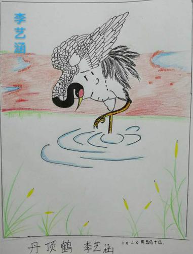 2020世界候鸟日"画鸟,懂鸟,爱鸟,护鸟"绘画比赛圆满成功!