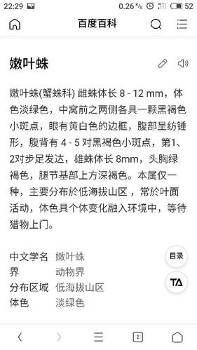 展开全部 你好,这是一只嫩叶蛛, 满意请采纳祝你生活愉快!