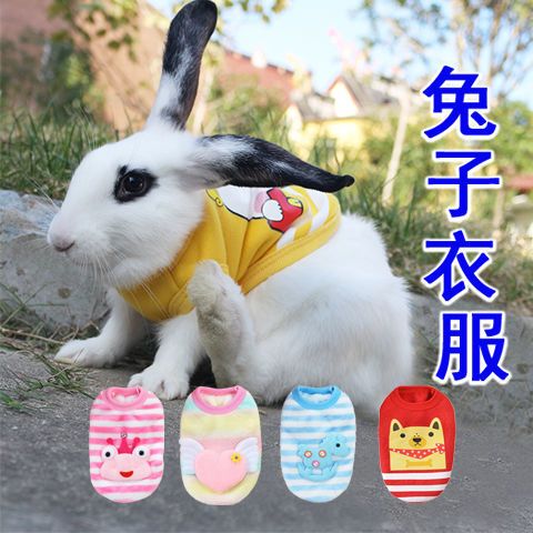 兔子衣服侏儒兔穿的过冬服宠物垂耳兔幼兔秋冬小兔子