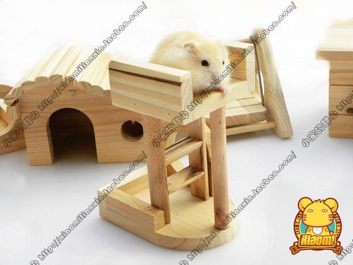 马卡果冻蔬菜草莓羊奶布丁仓鼠兔兔龙猫豚鼠零食