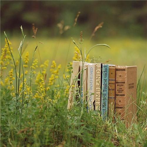 清新唯美户外超漂亮高清意境图片