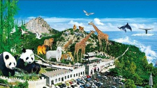 神雕山野生动物园旅游手抄报 旅游手抄报