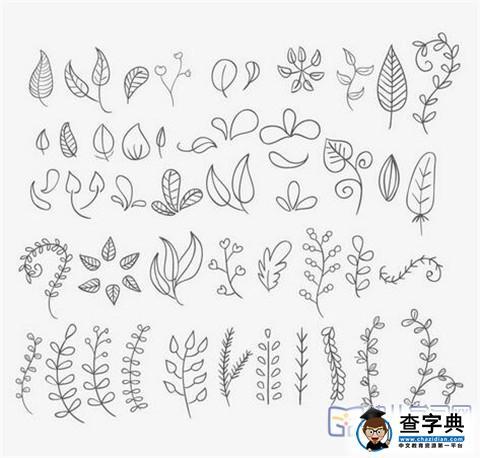 树叶简笔画 不同的叶子简笔画-查字典幼儿网儿童画