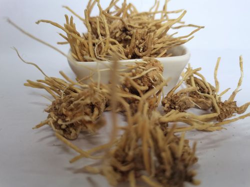 黄龙草根 地摊展会雪莲根 厂家供应黄龙根 黄龙草根散装批发