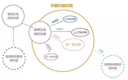 "学霸神奇的脑回路,分分钟绘出一幅导图"
