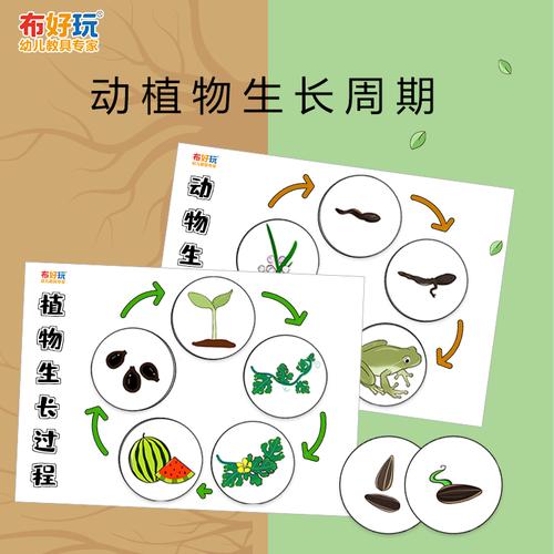 生长周期品牌精品汇聚_价格大全 pc版 -最宠网