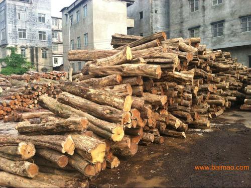 黄桑木厂家/批发/供应商