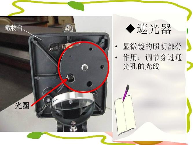 生物 ◆遮光器   显微镜的照明部分   作用:调节穿过通 光孔的光线