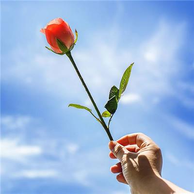 积极阳光正能量的微信头像女2020 阳光大气的微信头像图片