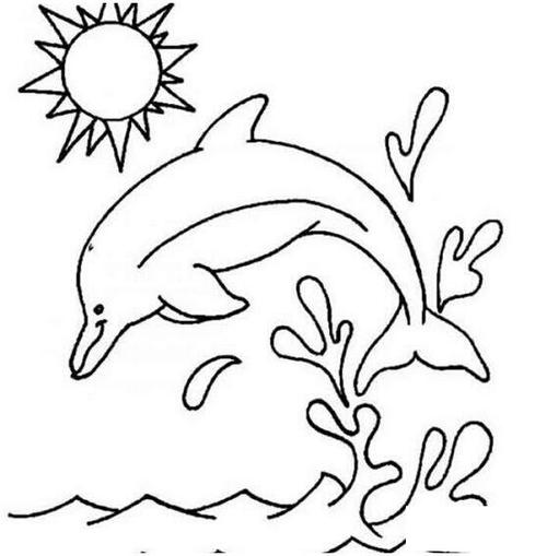 手绘跳跃的海豚简笔画图片素描彩铅