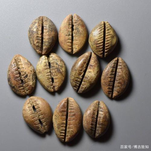 「每日文物鉴赏」中国古代钱币——贝类货币