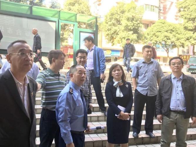 市局谭曼青书记一行到区局督导创文迎检工作