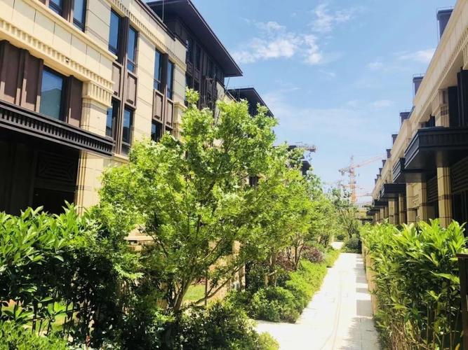 叠拼别墅是什么意思(联排,独栋,双拼,空中别墅)