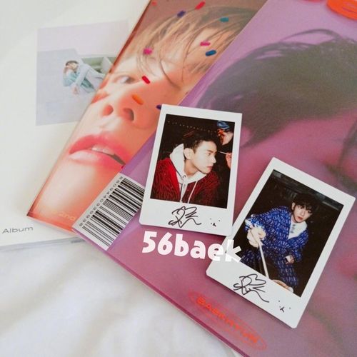 一个边伯贤bolo2的100张拍立得汇总楼(更新至第34张)