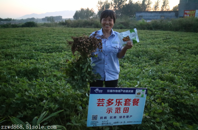 芸多乐套餐芸乐收价格