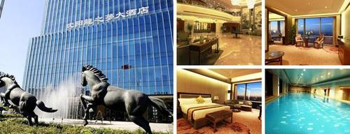 沈阳龙之梦大酒店预订