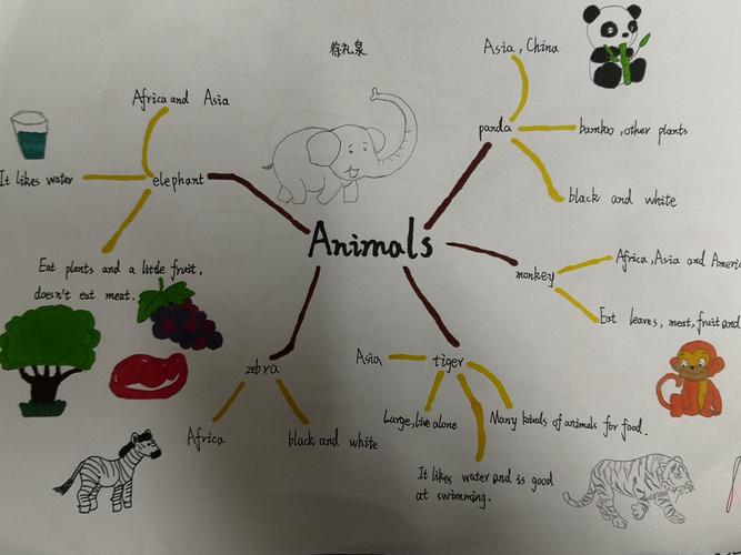 animals 单元导图优秀作业