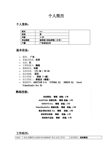 dj 个人简历.doc