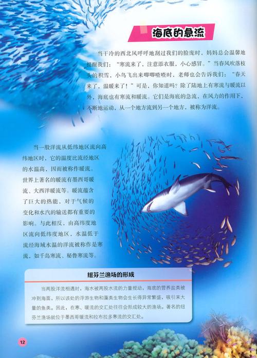 热闹的海底世界 海底的火山 海底的急流 海洋的呼吸潮汐 海水的温暖